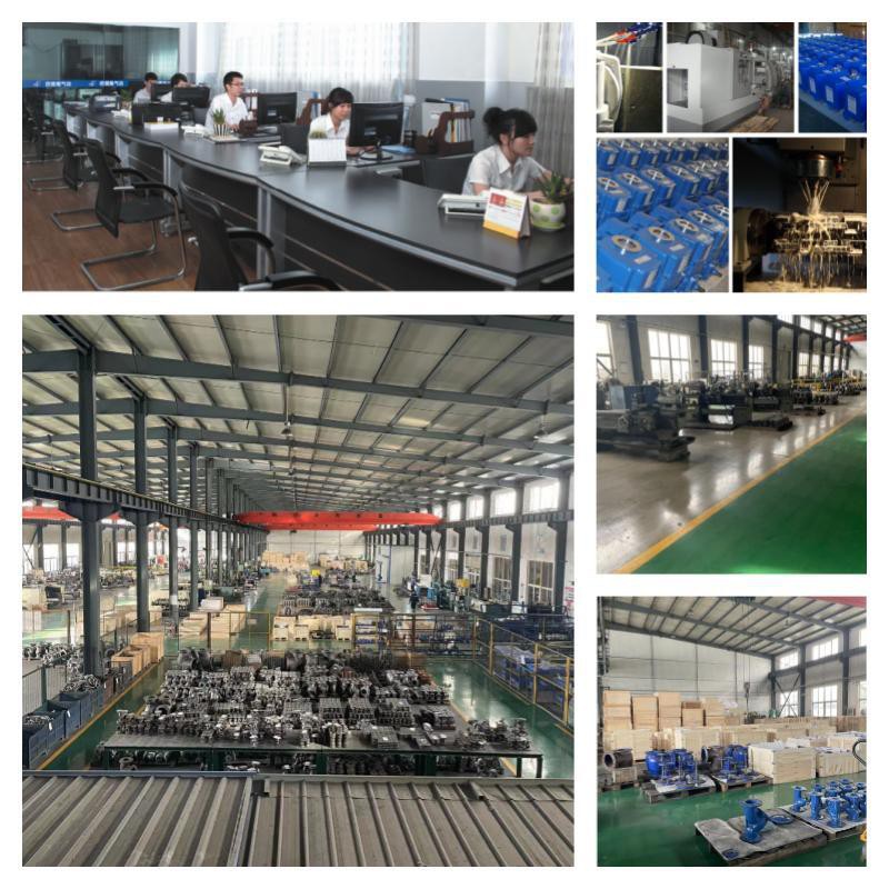 product-800-800